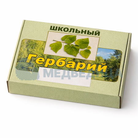 Комплект гербариев раздаточных "Водоросли. Грибы. Лишайники"